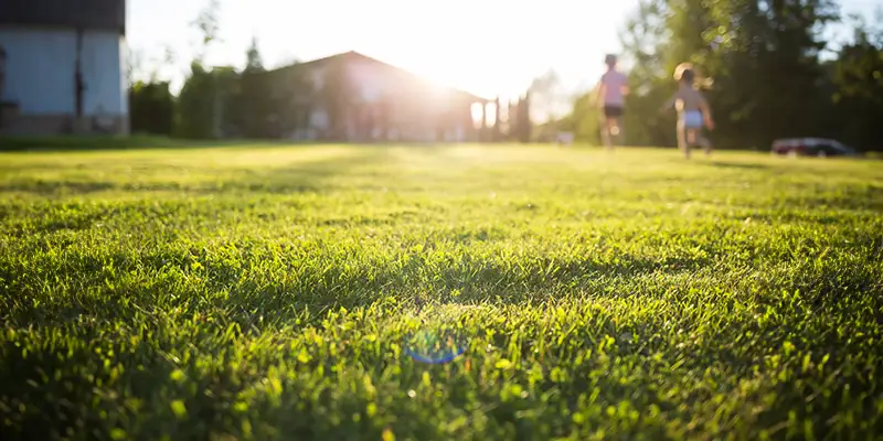 A beautiful green lawn in Florida. Two children can be seen running and playing in the distance. With lawn winterization services, lawns can stay healthy and lush year-round.